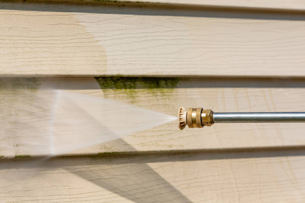 Best Local Pressure Washing Services  in Delray Beach, FL